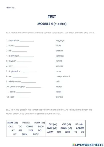 TEEN B2.1 - TEST MODULE 4 (+ extra) (Pioneer B2)