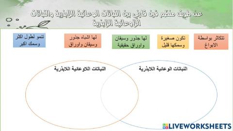 النباتات اللابذرية