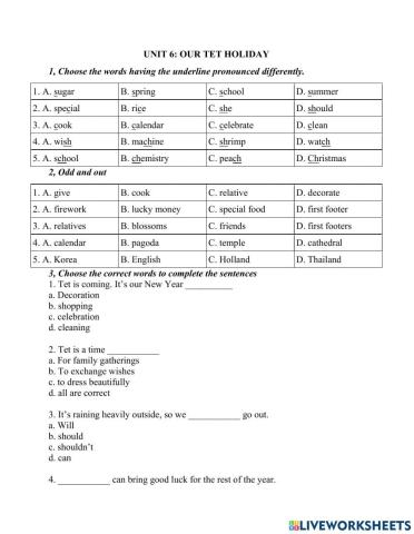 Unit 6 Our Tet holiday