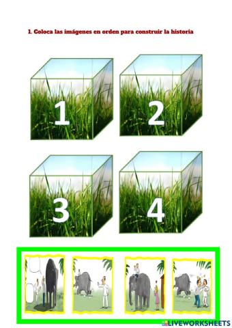 El elefante y su sombra