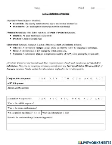 DNA Mutation Practice