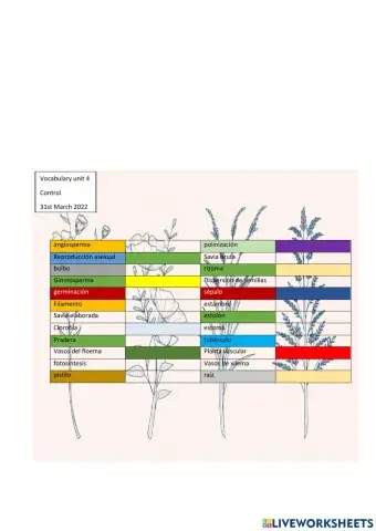Vocabulry about plants