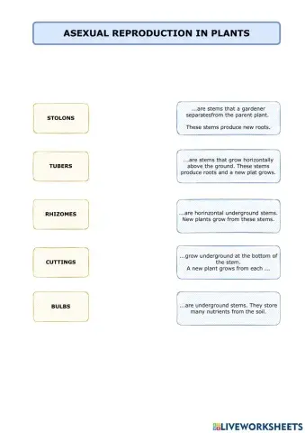 Asexual reproduction in plants
