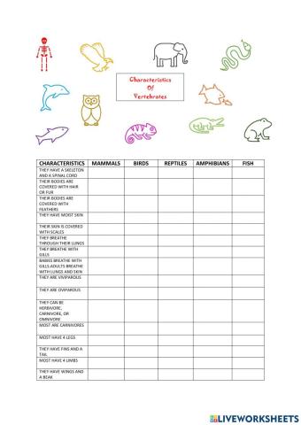 Characteristics of vertebrates