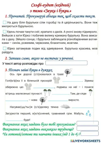 Українська мова. Селфі аудит (вхідний) з теми -Звуки і букви-. 4 клас.