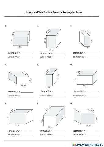 Lateral and total SA