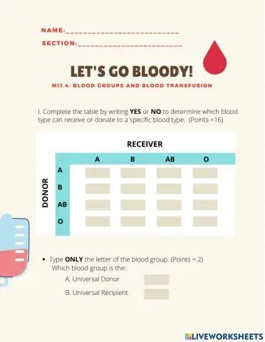 Blood Groups and Transfusion Worksheet