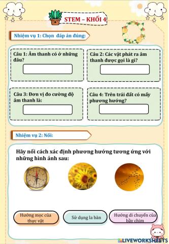 Bài kiểm tra giữa kì ii môn stem - lớp 4