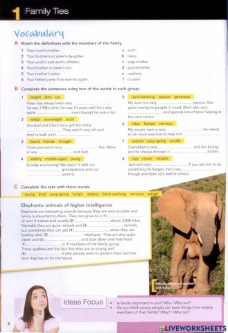 Form 3 Unit 1 Vocabulary - Family Ties