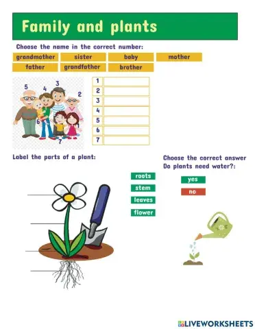 Family and Plants