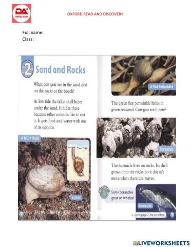 DieuAnh Sand and rocks (at the beach L1)