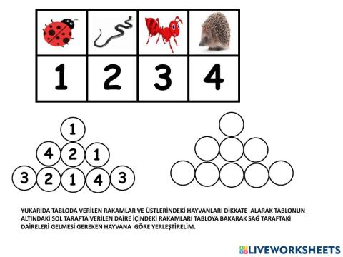 Toprak canlıları kodlama