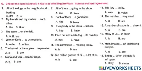 Sm sd4 english singular plural 5