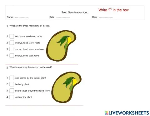 Science Germination Quiz (23.3.2022)