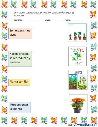 Importancia de las plantas.