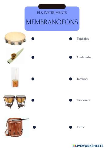 Els instruments per famílies: membranòfons
