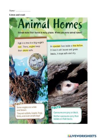 Where do animals live-3