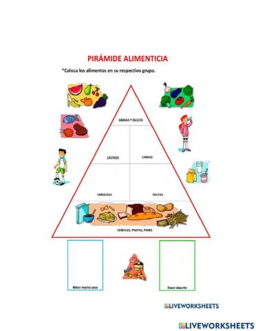 Piramide alimenticia