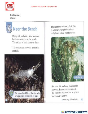 DieuAnh unit4: Near the beach (at the beach L1)