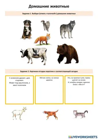 Домашние животные