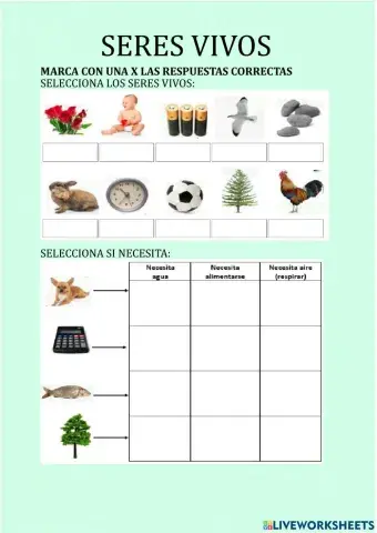 Necesidades de los seres vivos