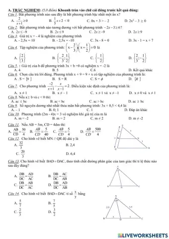 Đề thi cuối HK2 (21)