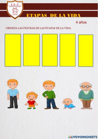 Etapas de la vida