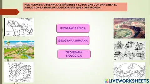 Ramas de la geografía