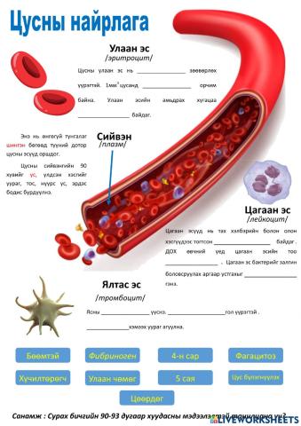 Амьтны зөөвөрлөлт