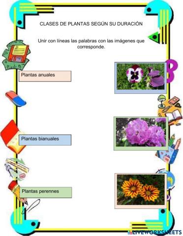 Clasificación de las plantas por su duración