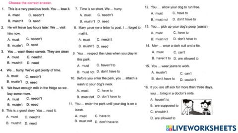 Sm sd 4 english modals 5