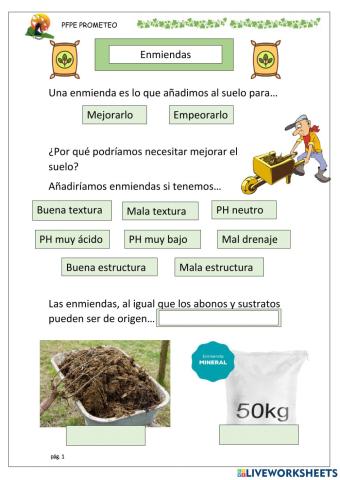 Enmiendas y enmiendas orgánicas