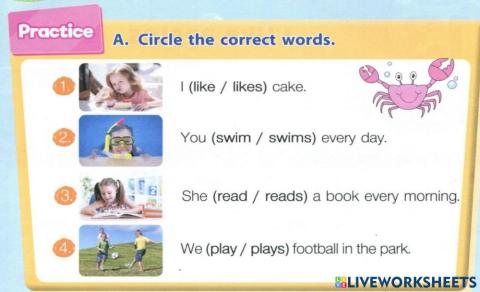 Circle the correct words.