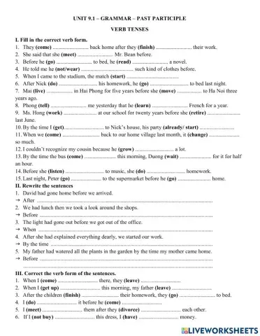 Y8 Unit 9.1 - Verb tenses - Past Participle