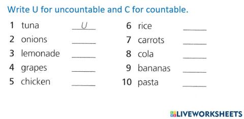 Countable and Uncountable Nouns