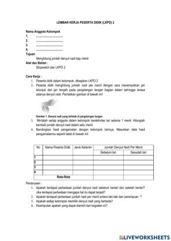 LKPD Praktikum Denyut Nadi