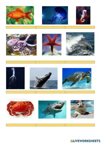 Animals live in the sea