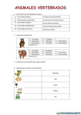 Animales vertebrados