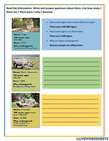 Weird and Wild Animals