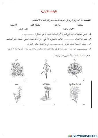 النباتات اللابذرية1