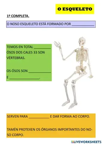 O corpo humano: O ESQUELETO
