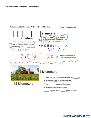 Area and Perimeter with Metric Conversions