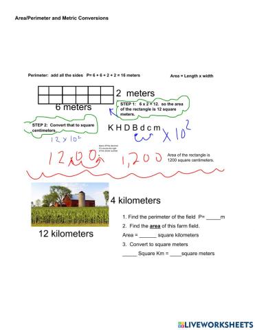 Area and Perimeter with Metric Conversions