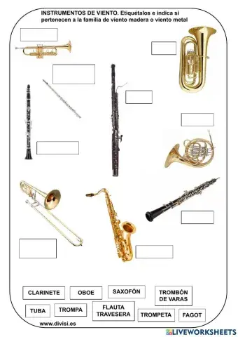Instrumentos viento