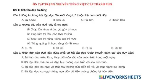 Trạng nguyên Tiếng Việt