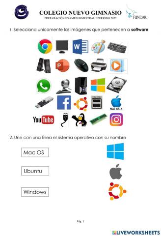 Preparación Bimestrales