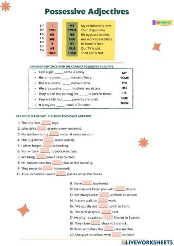 Possesive Adjectives