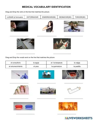 Medical verbs and vocab