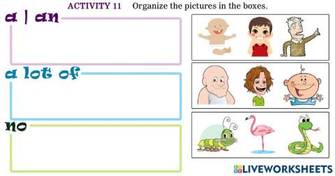 KB107 Section 2 Activity 11