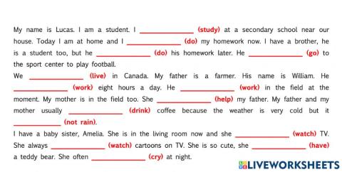 Present Simple vs Present Continuous